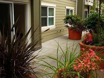 Your Own Courtyard Patio