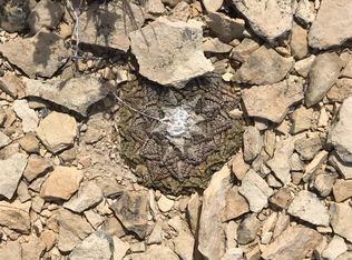 26 Hermans Peak Rd #2675, Terlingua, TX 79852