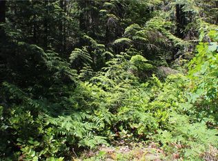 321 N Mount Jupiter Dr, Hoodsport, WA 98548