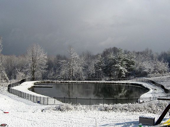 Nice winter shot of pond