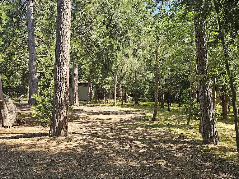 S Circle Dr — Photo 23