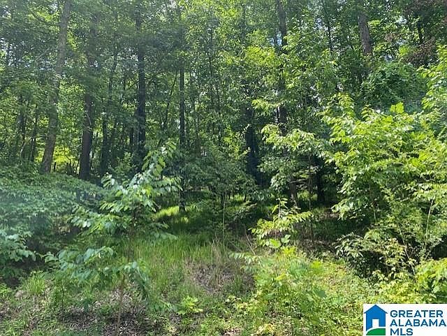 1st image of 213 Highland View Dr Lot 4-29