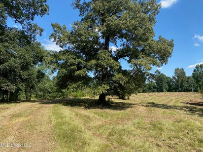 2100 Estes Mill Rd, Walnut Grove, MS, 39189