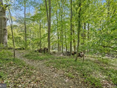 11117 Rokeby Ave, Garrett Park, MD, 20896