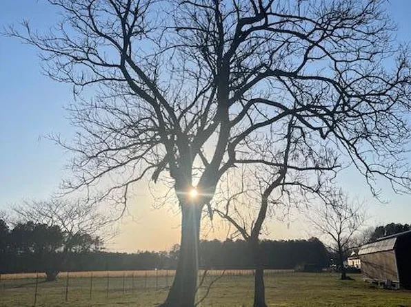 000 Ernest Valeria Lane, Willard, NC 28478