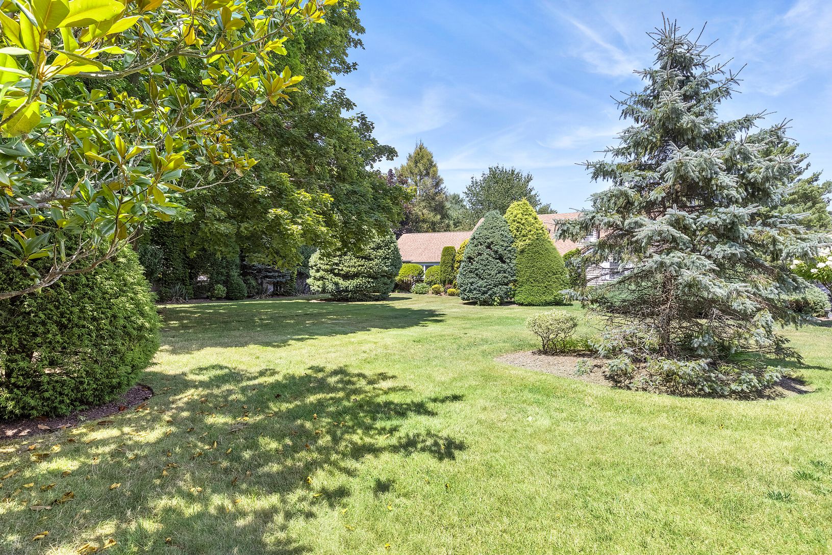 Large Deep Front Yard