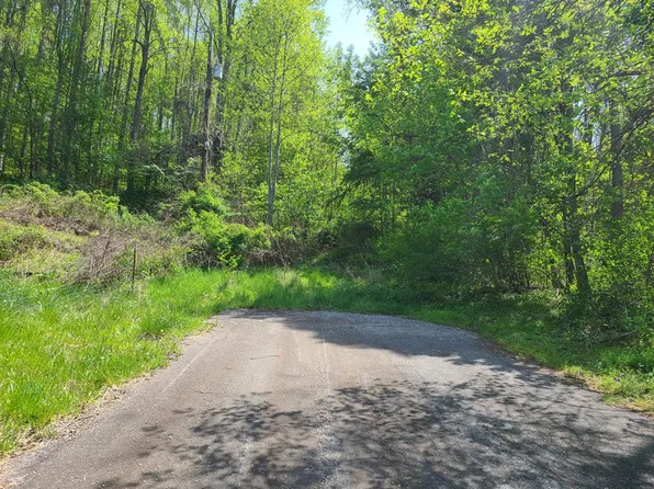 Tbd Shaw St, Lebanon, VA 24266