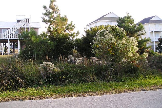 1st image of 116 Sandlin Ln