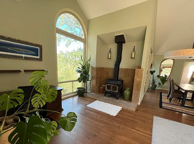 wood burning stove