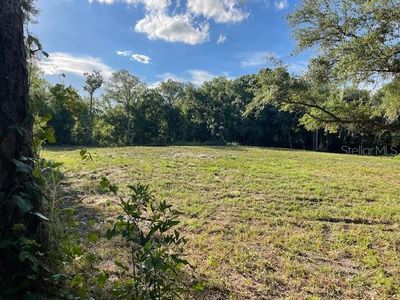 Walk In Water Creek Rd Lot 11, Lake Wales, FL, 33898