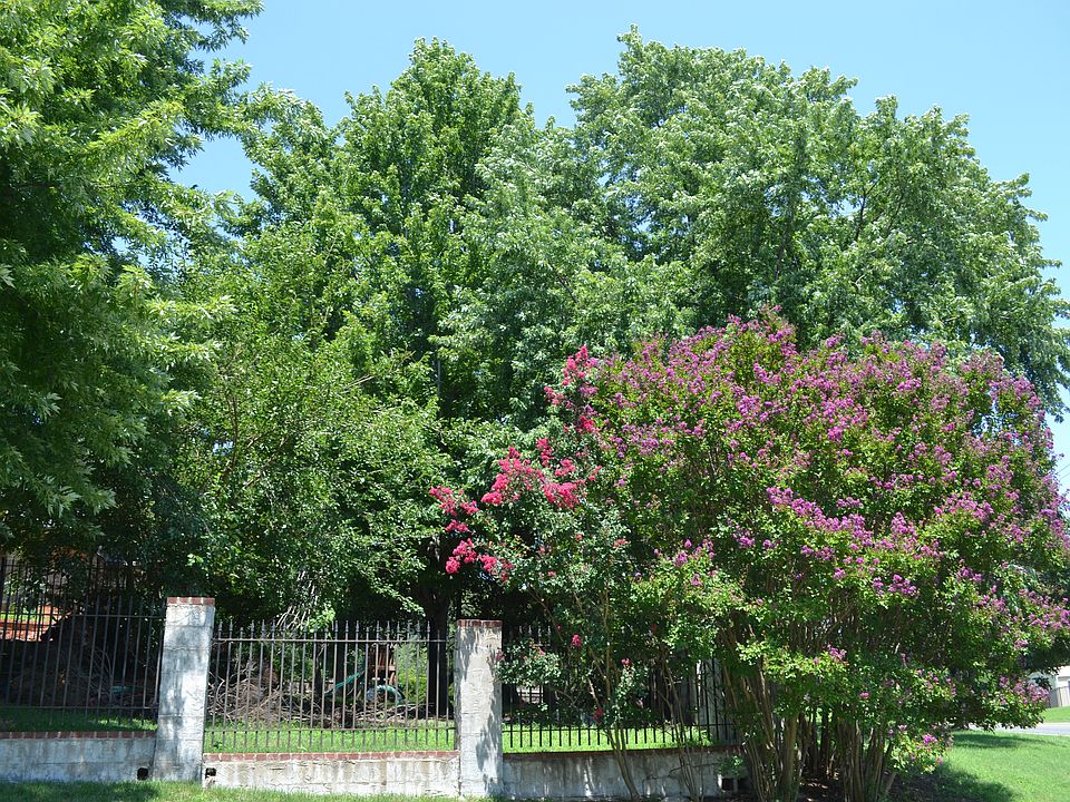 2nd image of 4835 E 114th Pl