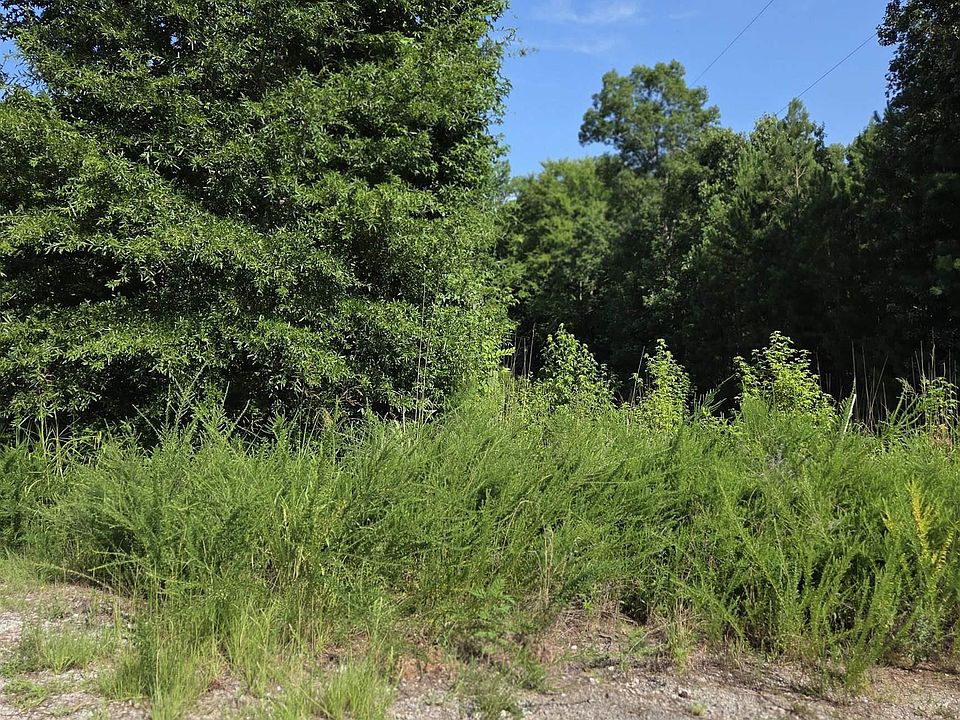 2nd image of Longleaf Ct Lot 7