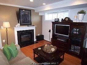 Living Rm w/ Gas Fireplace