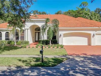 10718 Beagle Run Pl, Tampa, FL, 33626