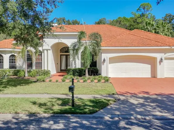 10718 BEAGLE RUN PLACE, TAMPA, FL 33626
