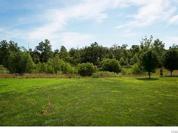 3rd image of 147 Cuivre River Dr