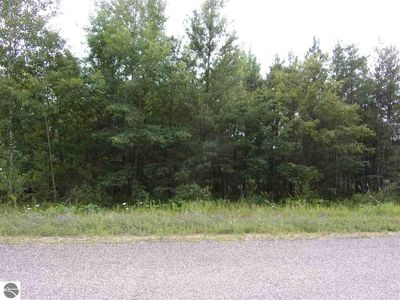0 W Lotan Rd, Lake City, MI, 49651