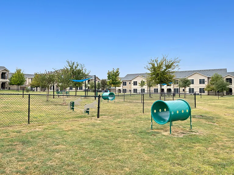 Dog Park