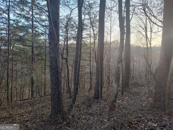 1058 Mayfield Ln NE, Ranger, GA 30734