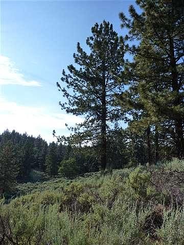 2nd image of 25821 Paramount Dr