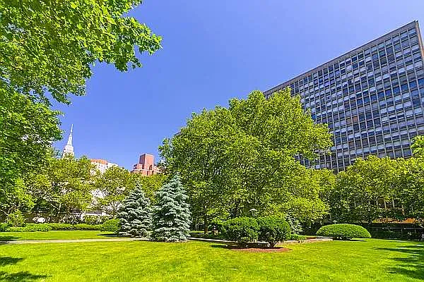 Rented by Mayell LLC | media 16