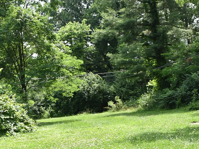 large backyard.