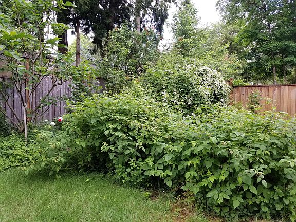 Fruit garden