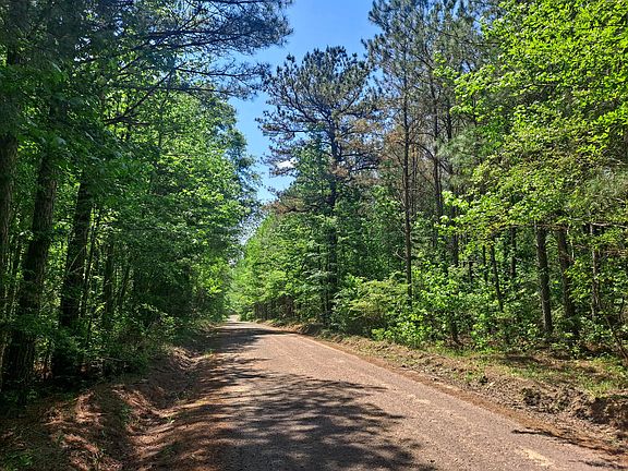 2nd image of Tommy McGough Rd