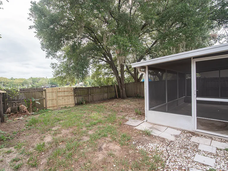 Backyard