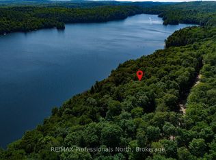 3 W Oxbow Lake Rd #1484, Lake Of Bays, ON P1H2J6
