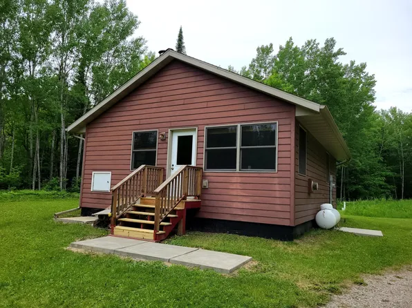 41255 Turtle Lake Rd, Bigfork, MN 56628