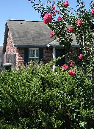 3rd image of 2332 Pintail Ln