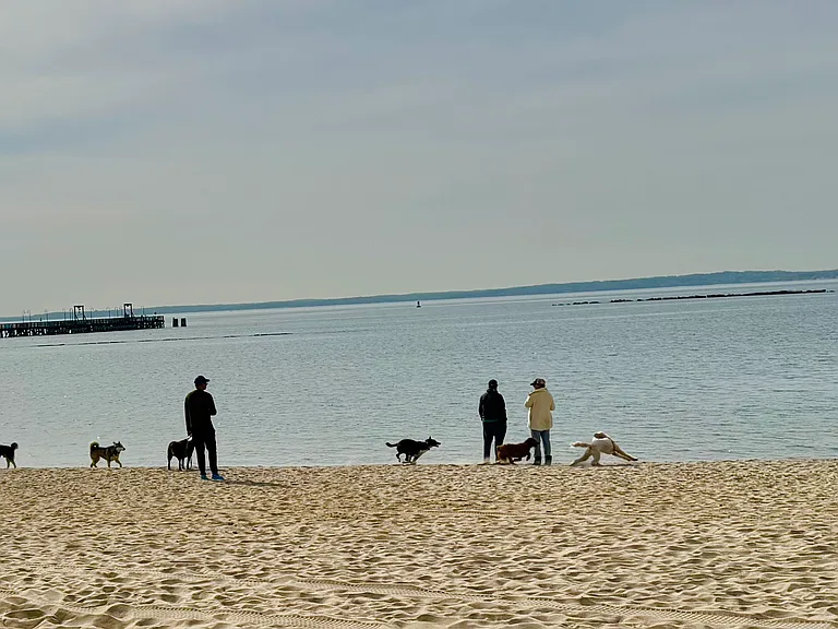 Rye Village — Photo 29