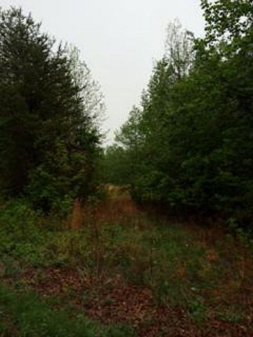 2nd image of 181 Talley Rd