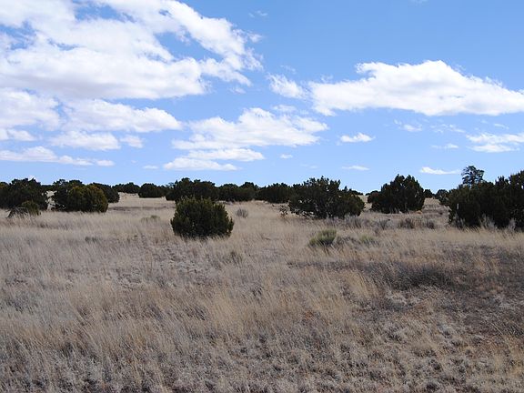 5th image of 37 Lost Calf Ln