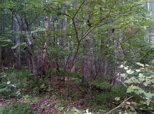 LOT 21 True Love Mountain Rd, Young Harris, GA 30582