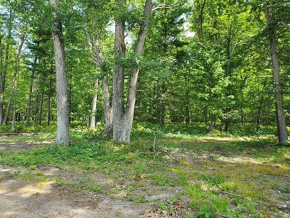 3rd image of 0 Turtle Lake Rd