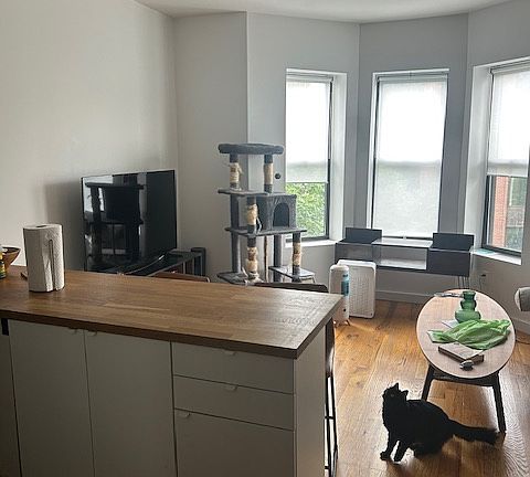 5th image of 493 Prospect Pl APT 4