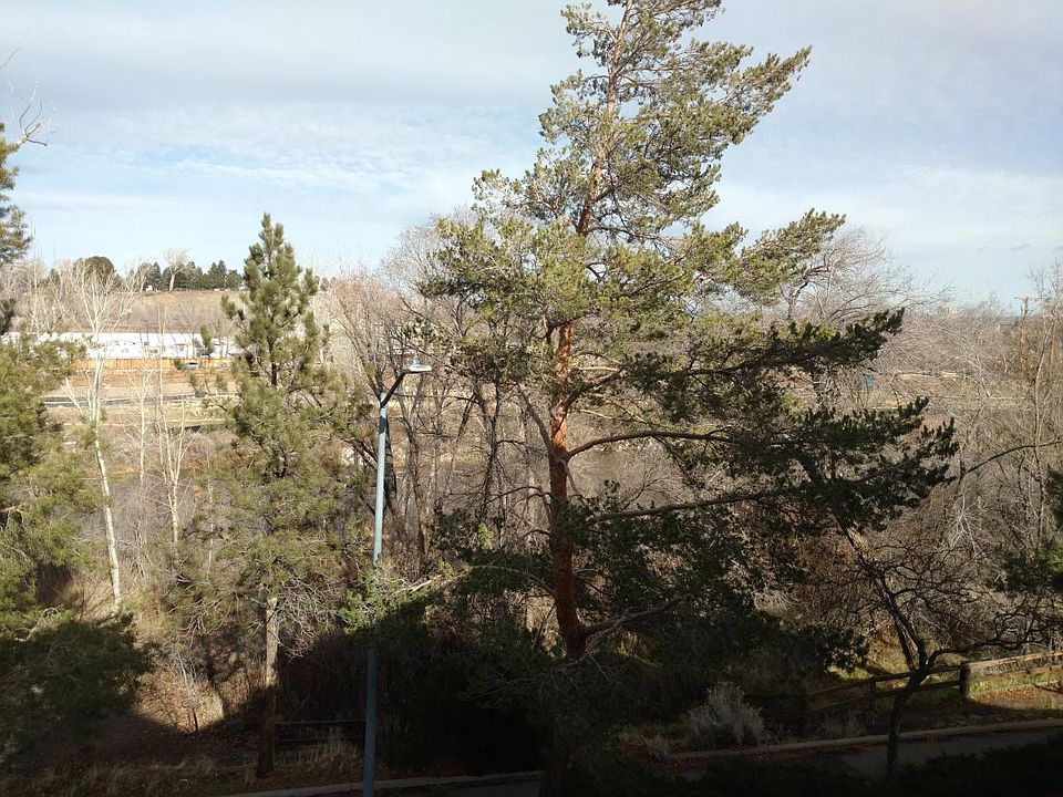 Truckee River View