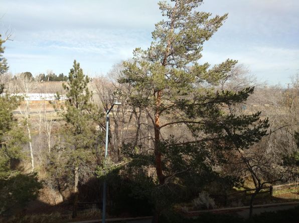 2845 Idlewild Dr APT 315