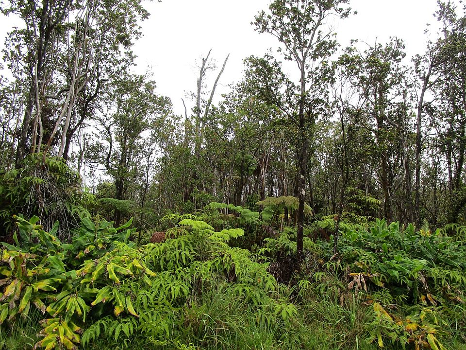 2nd image of Kanilehua Pl Lot 2091