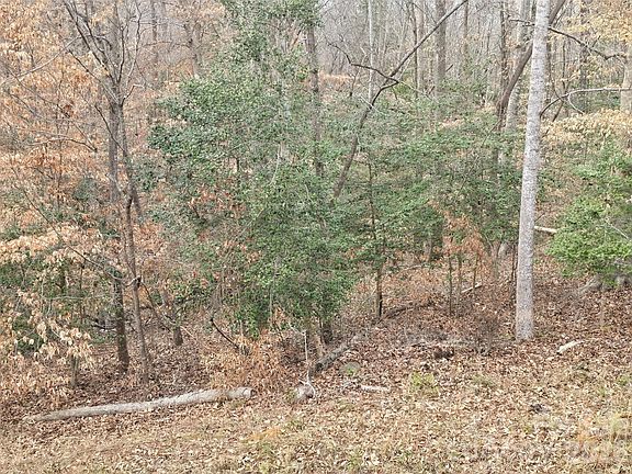 3rd image of 301 Chinkapin Rd