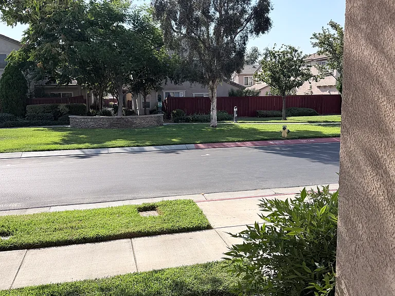 Park in front of the house
