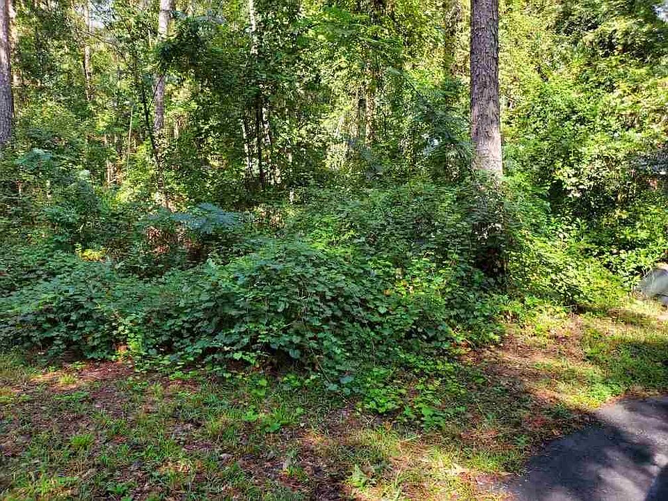 2nd image of 3208 Wind Lake Ln