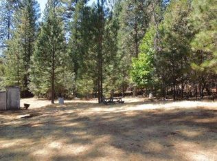 19611 Ponderosa Dr, Pioneer, CA 95666
