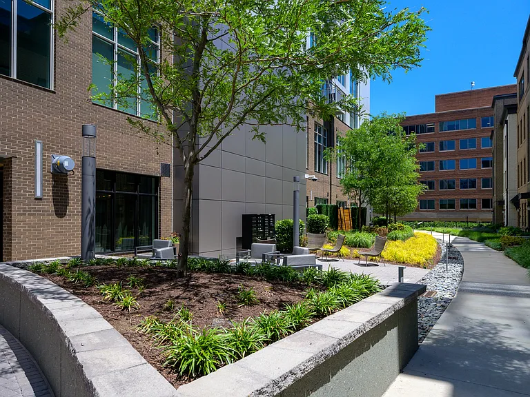 925 N Fairfax St #502 — Photo 23