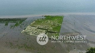 5th image of 795 SE Totten Shores Drive