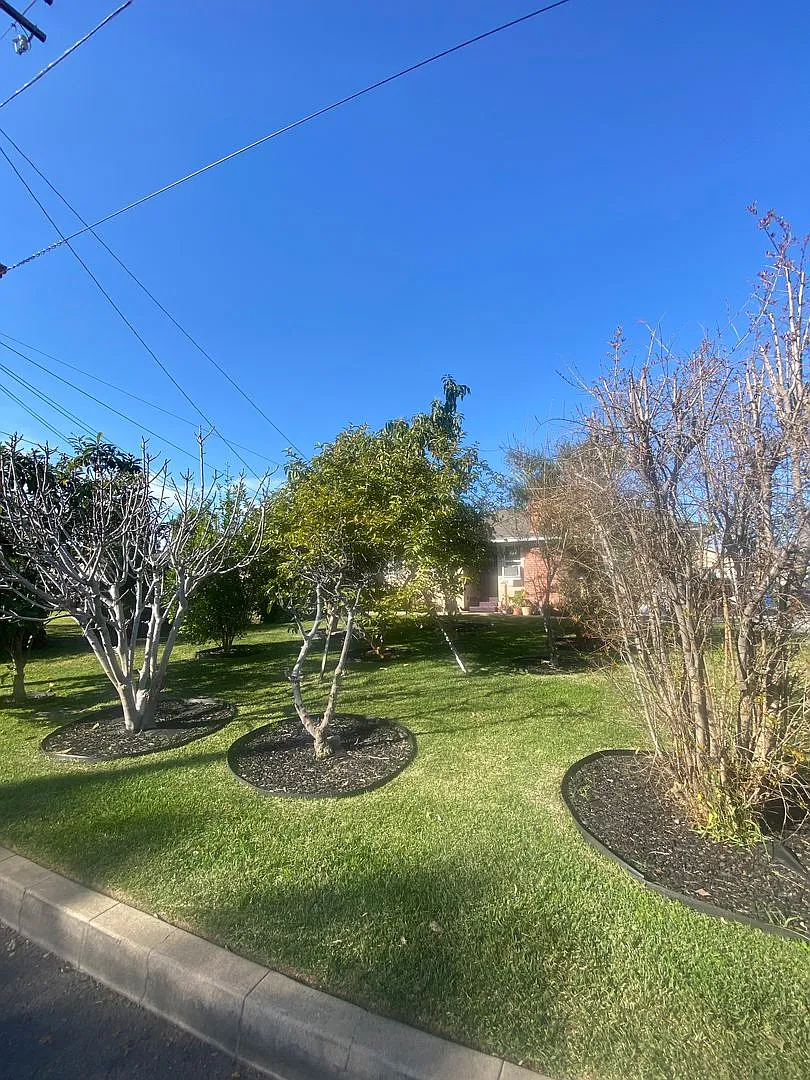 409 E Puente — Photo 3