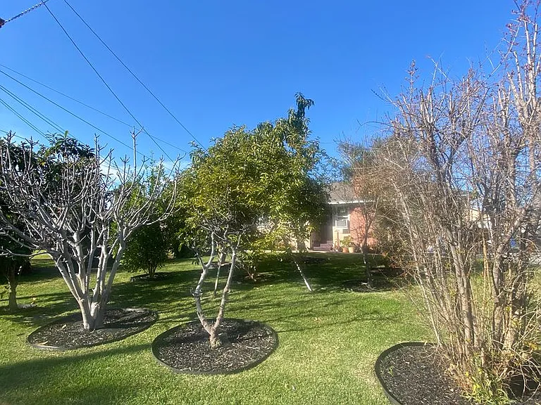 409 E Puente St — Photo 3