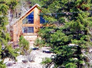 82 Steelhead Dr, Lake George, CO 80827